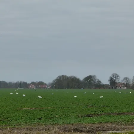 Prázdninový dům Rheiderland