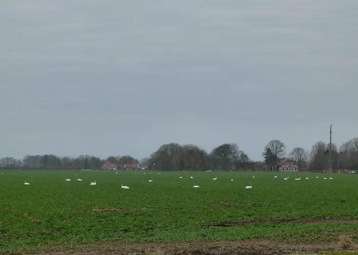 Сasa de vacaciones Rheiderland